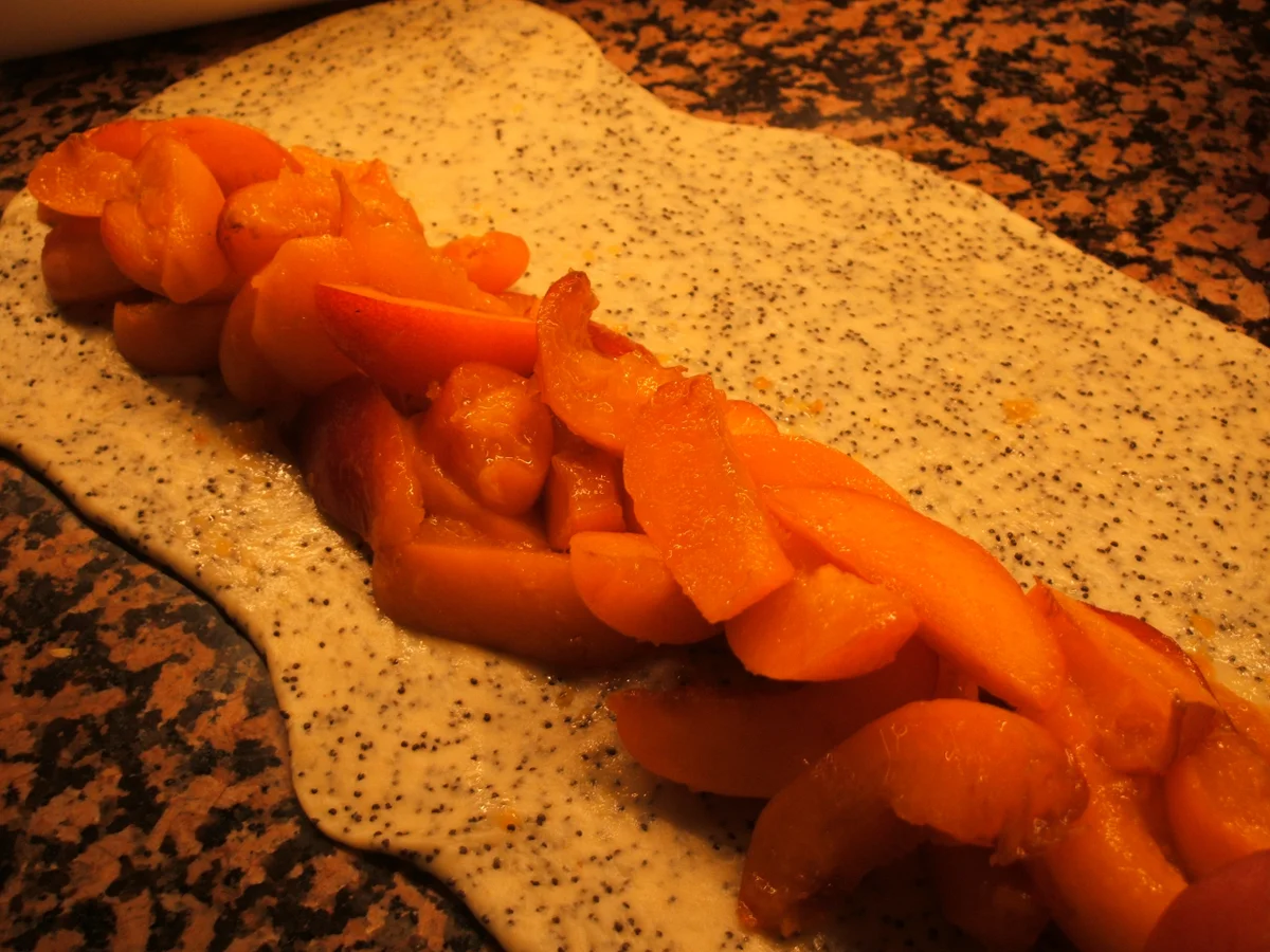 Backen: Mohnzopf mit Aprikosen - Rezept - Bild Nr. 2837