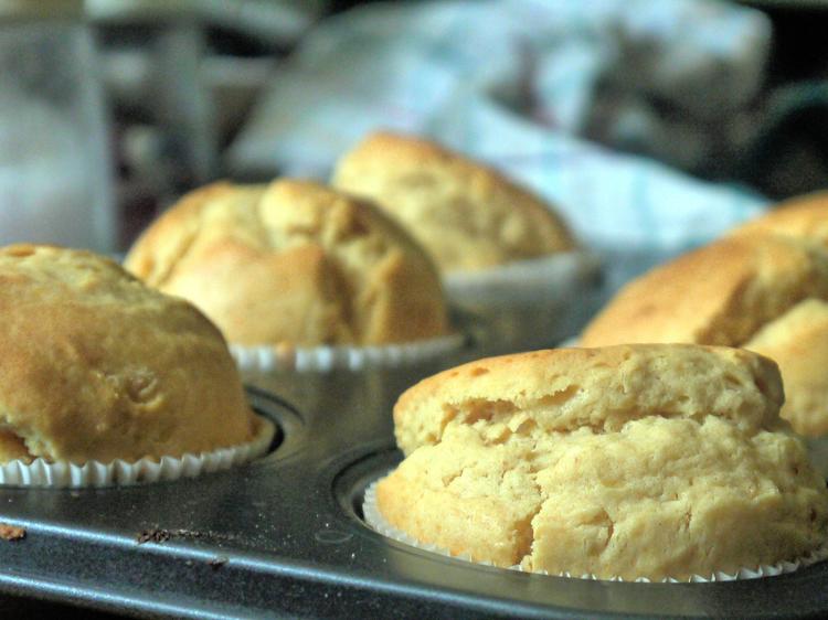 Erdnuss-Frischkäse-Muffins - Rezept mit Bild - kochbar.de