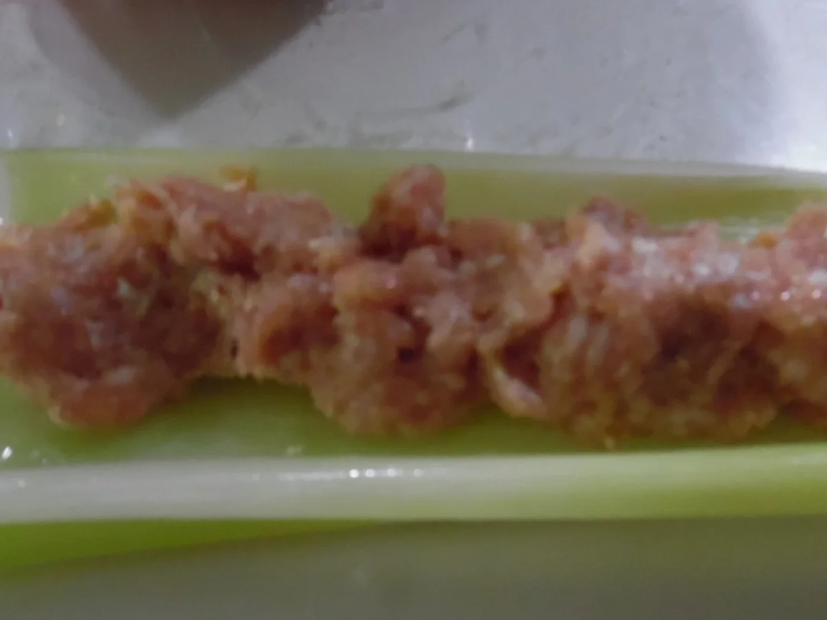 "Lauch-Cannelloni" auf Lauch-Creme - Rezept - Bild Nr. 2833