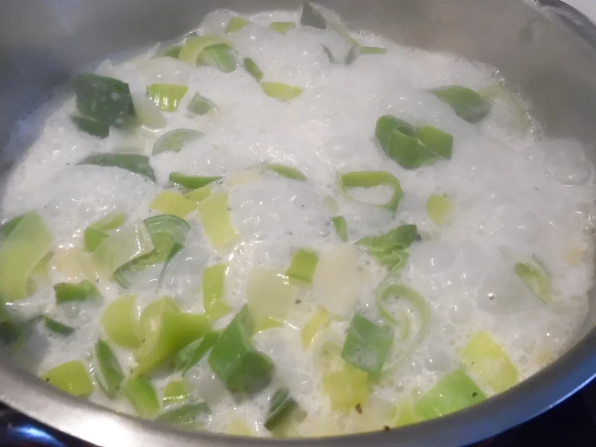 "Lauch-Cannelloni" auf Lauch-Creme - Rezept - Bild Nr. 2836