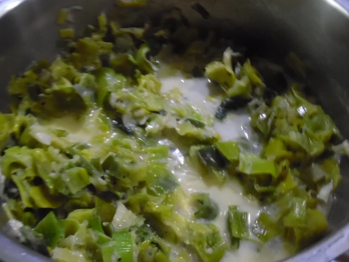 "Lauch-Cannelloni" auf Lauch-Creme - Rezept - Bild Nr. 2837