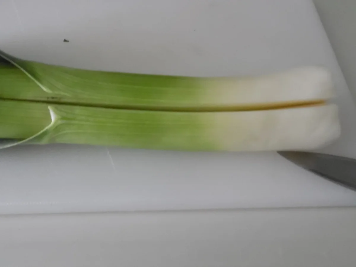 "Lauch-Cannelloni" auf Lauch-Creme - Rezept - Bild Nr. 2841