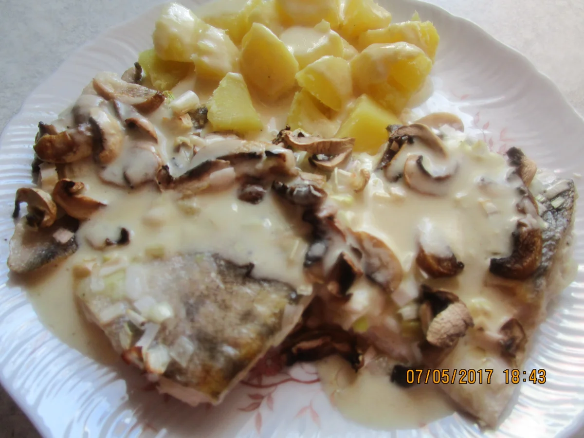 Rezept: Zanderfilet in Wein-Sahne-Sauce Bild Nr. 2856 Zanderfilet in Wein-Sahne-Sauce - Rezept - Bild Nr. 2856