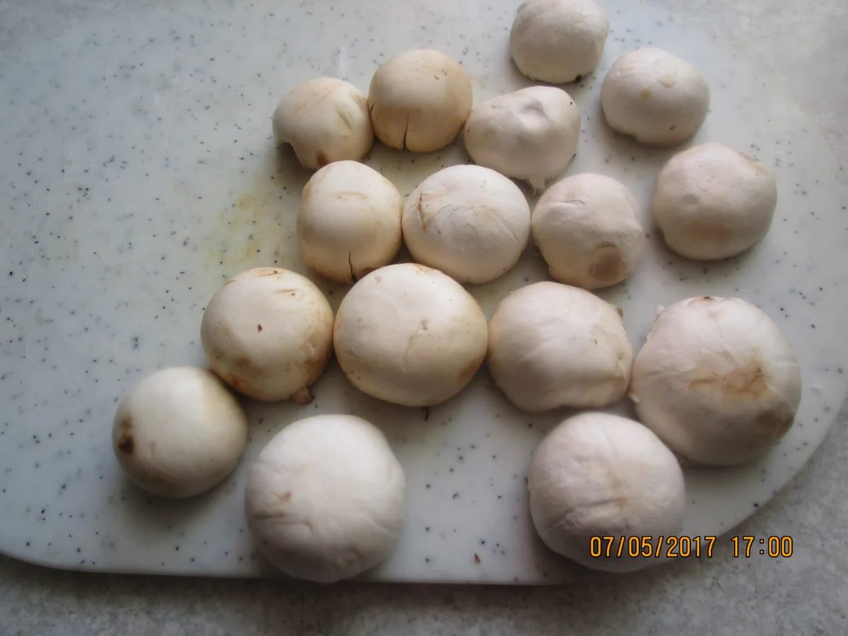 Rezept: Zanderfilet in Wein-Sahne-Sauce Bild Nr. 2861 Zanderfilet in Wein-Sahne-Sauce - Rezept - Bild Nr. 2861