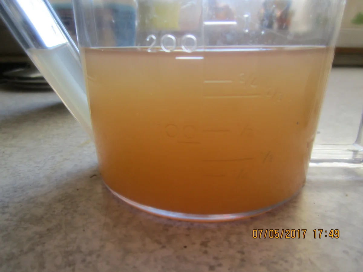 Rezept: Zanderfilet in Wein-Sahne-Sauce Bild Nr. 2869 Zanderfilet in Wein-Sahne-Sauce - Rezept - Bild Nr. 2869