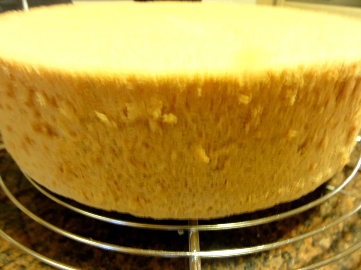 Biskuit:   MOHN ~ APFEL ~ TORTE - Rezept - Bild Nr. 2872