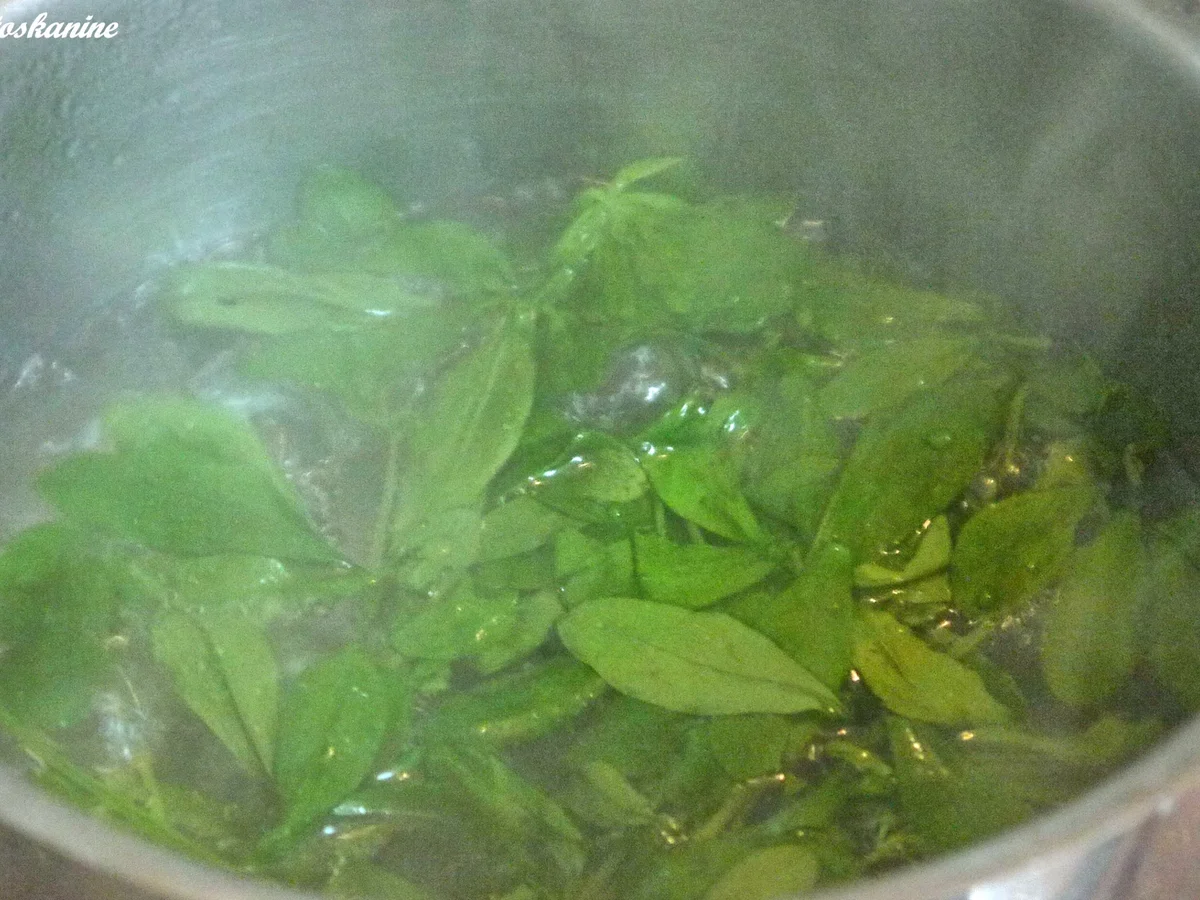 Rezept: Waldmeister-Törtchen Bild Nr. 6 Waldmeister-Törtchen - Rezept - Bild Nr. 6