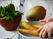 Rezept: Grรผner Smoothie fรผr Babys Bild Nr. 2887 Grรผner Smoothie fรผr Babys - Rezept - Bild Nr. 2887