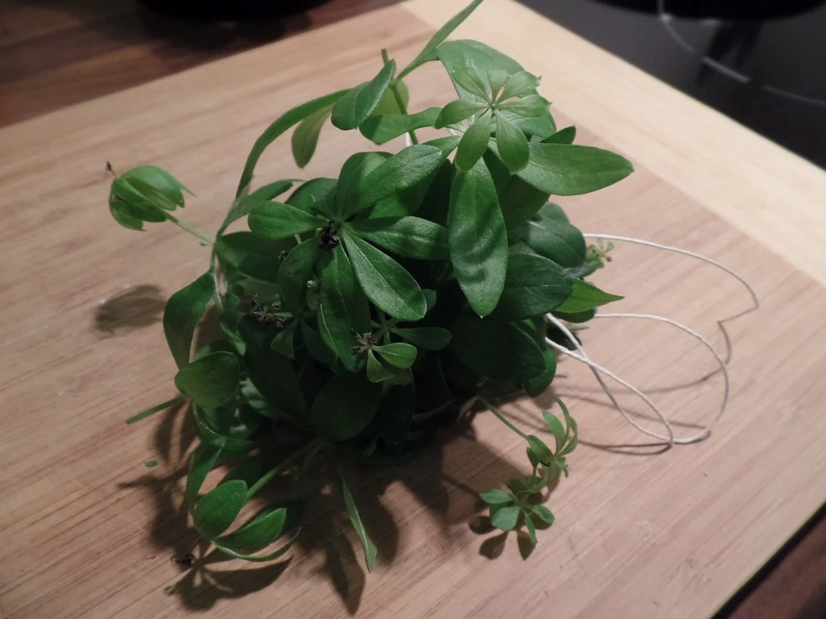 Maibowle - Rezept - Bild Nr. 2893