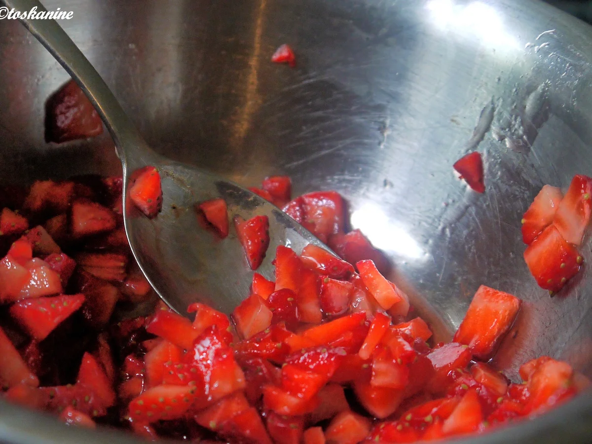 Büffelmozzarella mit Erdbeer.-Tomaten-Salsa - Rezept - Bild Nr. 2902