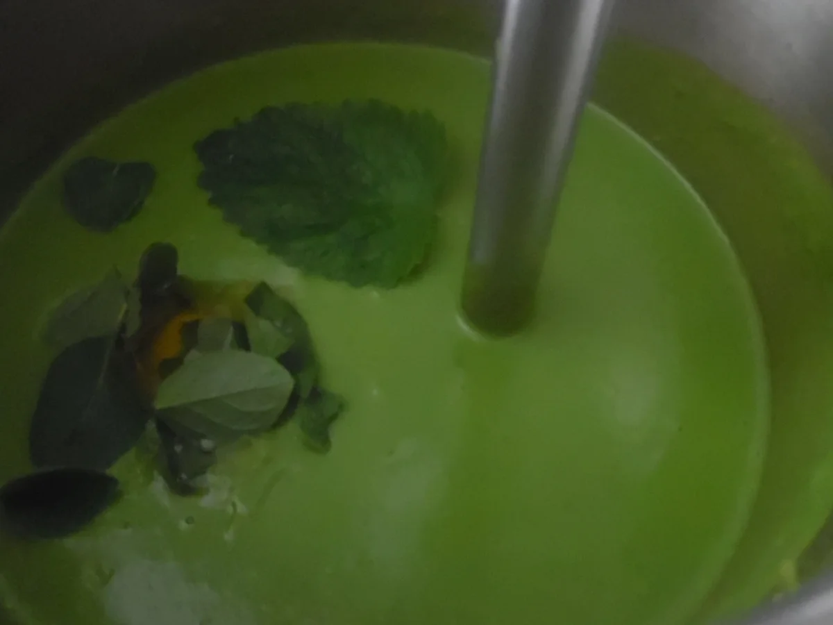 Rezept: Grüne Erbsensuppe mit scharfem Garnelenspieß Bild Nr. 2907 Grüne Erbsensuppe mit scharfem Garnelenspieß - Rezept - Bild Nr. 2907