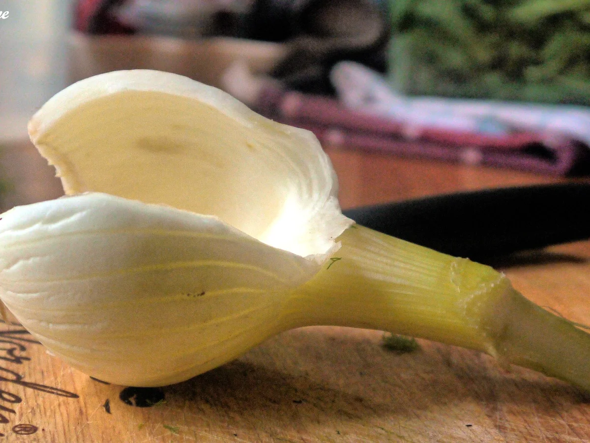 Gefüllter Fenchel mit Babaganoush - Rezept - Bild Nr. 6