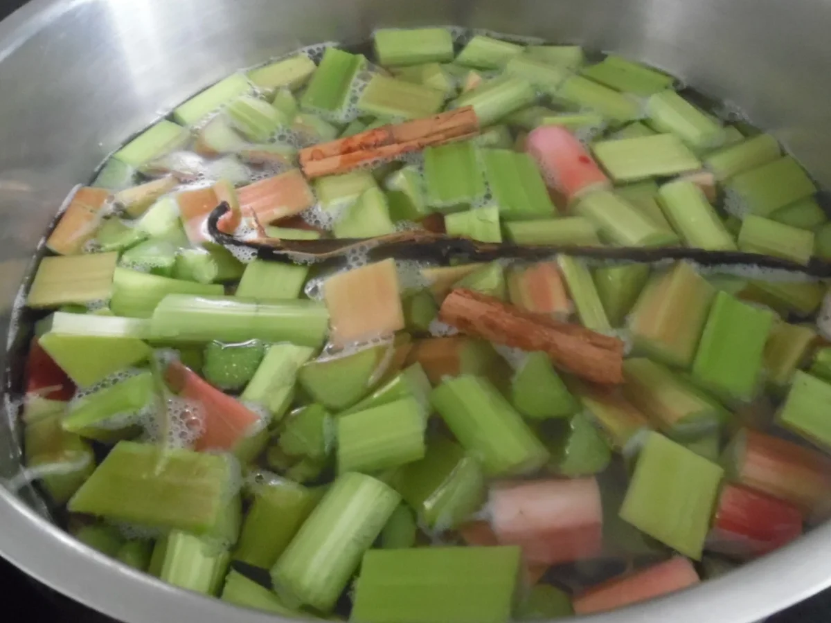 Rezept: "Rhabarber-Traum"- Geburtstagstorte Bild Nr. 2940 "Rhabarber-Traum"- Geburtstagstorte - Rezept - Bild Nr. 2940