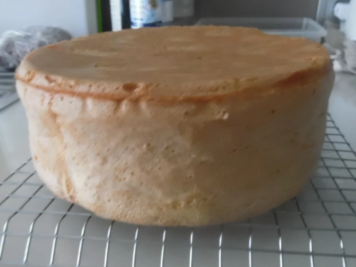 Rezept: "Rhabarber-Traum"- Geburtstagstorte Bild Nr. 2944 "Rhabarber-Traum"- Geburtstagstorte - Rezept - Bild Nr. 2944