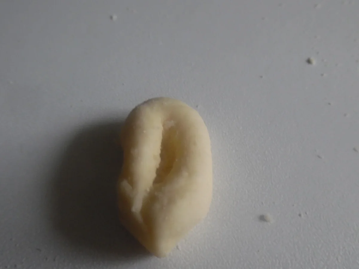 Cavatelli mit Thunfisch-Zitronen-Soße und Parmesan - Rezept - Bild Nr. 2936