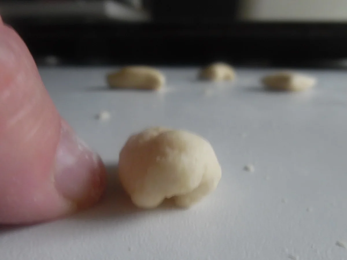 Cavatelli mit Thunfisch-Zitronen-Soße und Parmesan - Rezept - Bild Nr. 2938