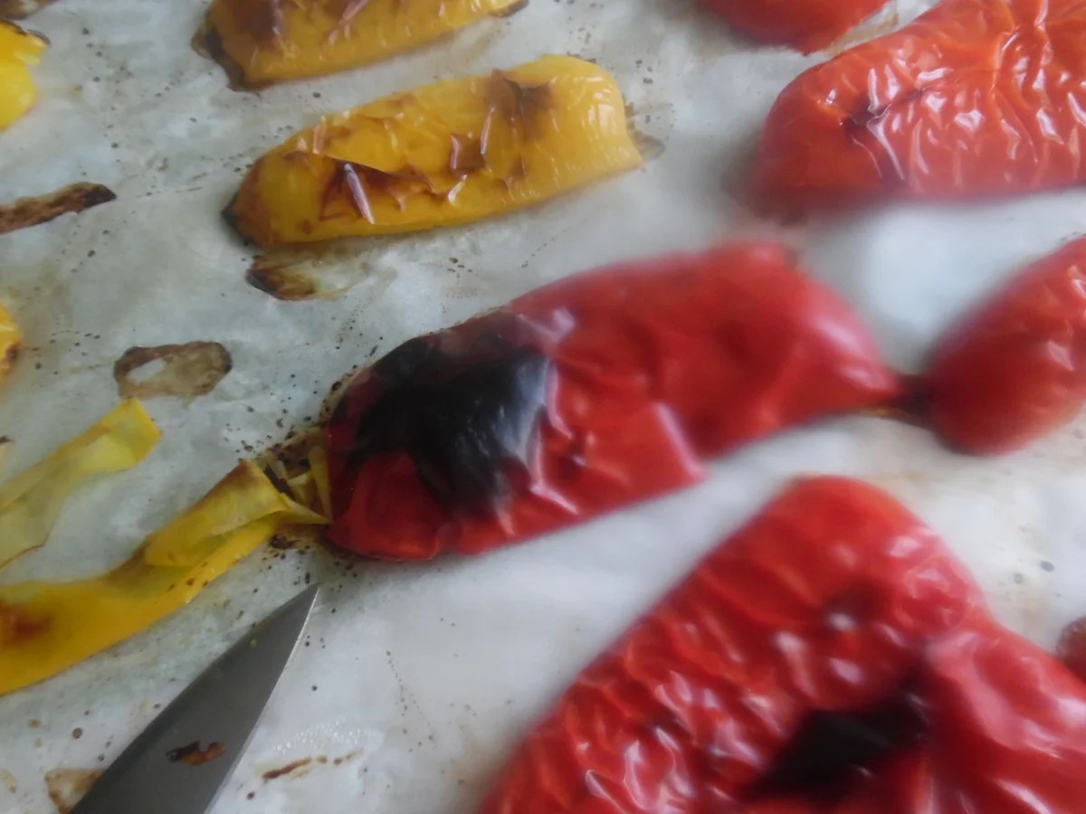 Antipasti - Rezept - Bild Nr. 2930