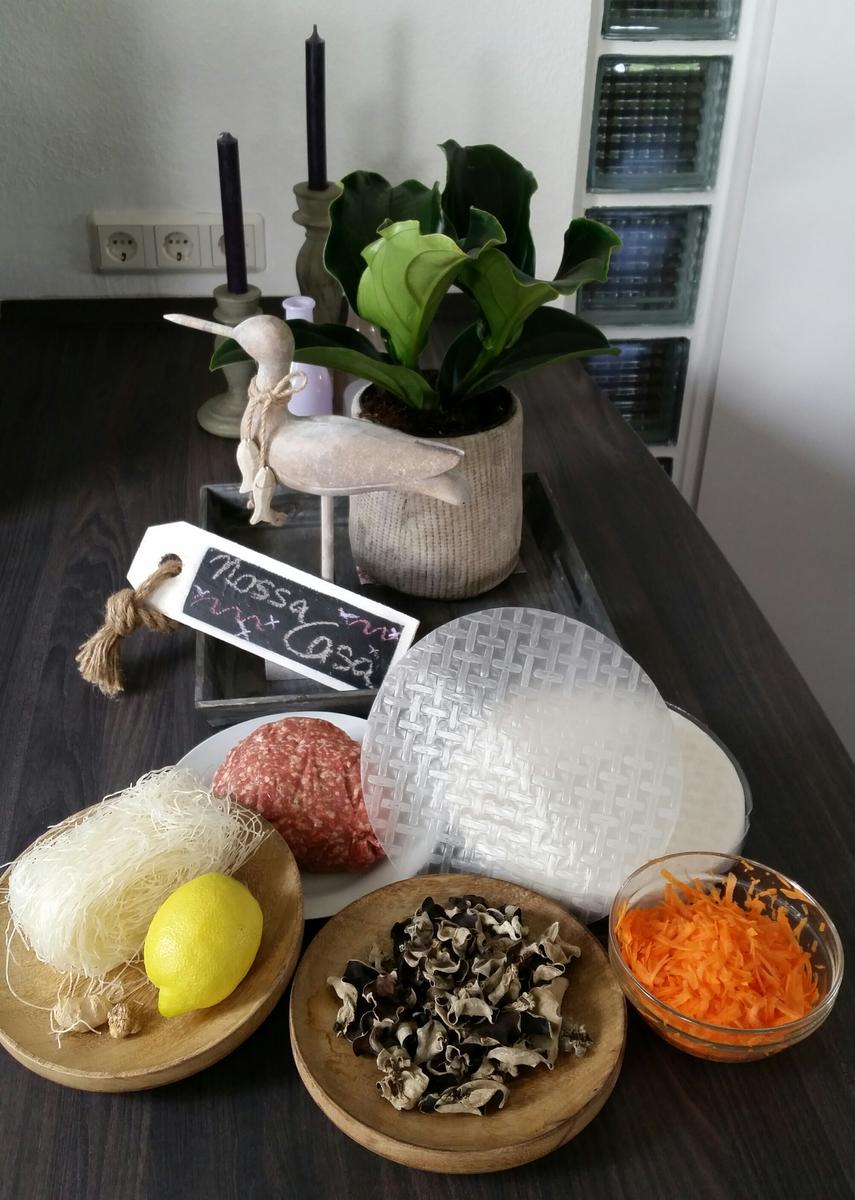 Thao's Vietnamesische Frühlingsrollen - Rezept - Bild Nr. 2936
