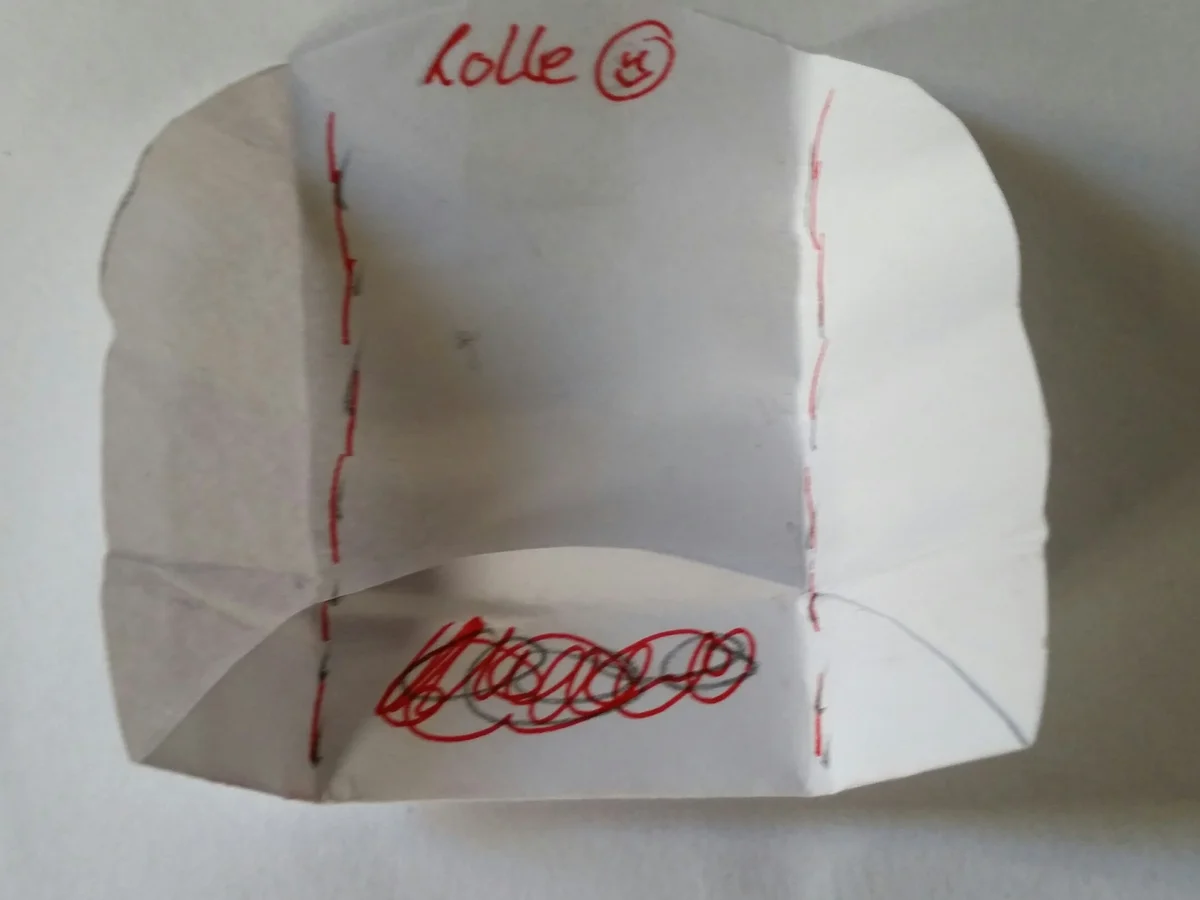 Thao's Vietnamesische Frühlingsrollen - Rezept - Bild Nr. 2940