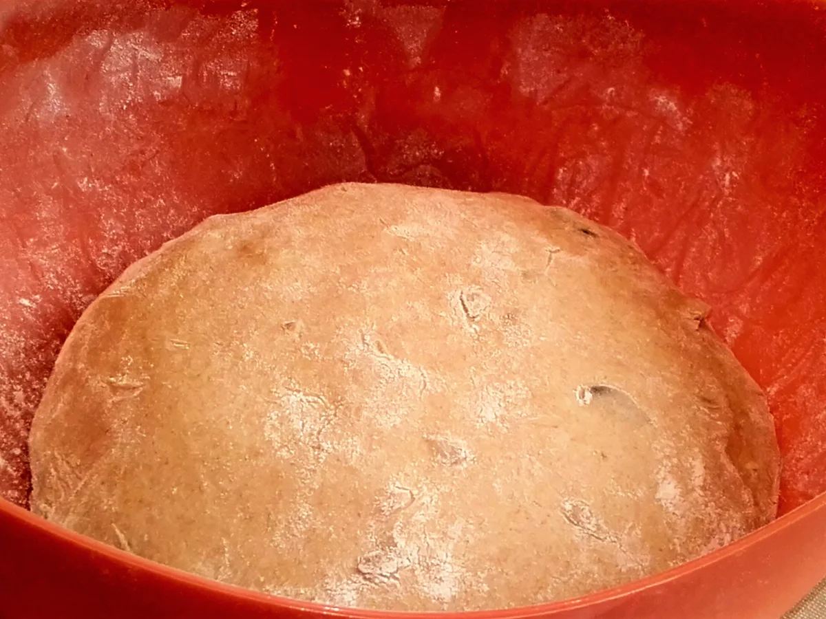 Rezept: Körnerbrot - Mischbrot mit Sauerteig Bild Nr. 2945 Körnerbrot - Mischbrot mit Sauerteig - Rezept - Bild Nr. 2945