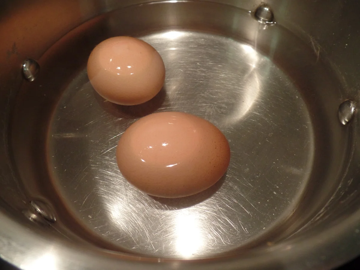 Rezept: Nudel-Möhrensuppe Bild Nr. 2944 Nudel-Möhrensuppe - Rezept - Bild Nr. 2944