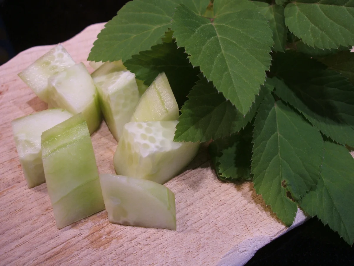 Salate: Linsen-Spargel-Salat mit Knoblauch-Croutons - Rezept - Bild Nr. 2947