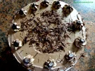 Biskuit:   MOKKA ~ BUTTERCREM ~ TORTE - Rezept - Bild Nr. 2947