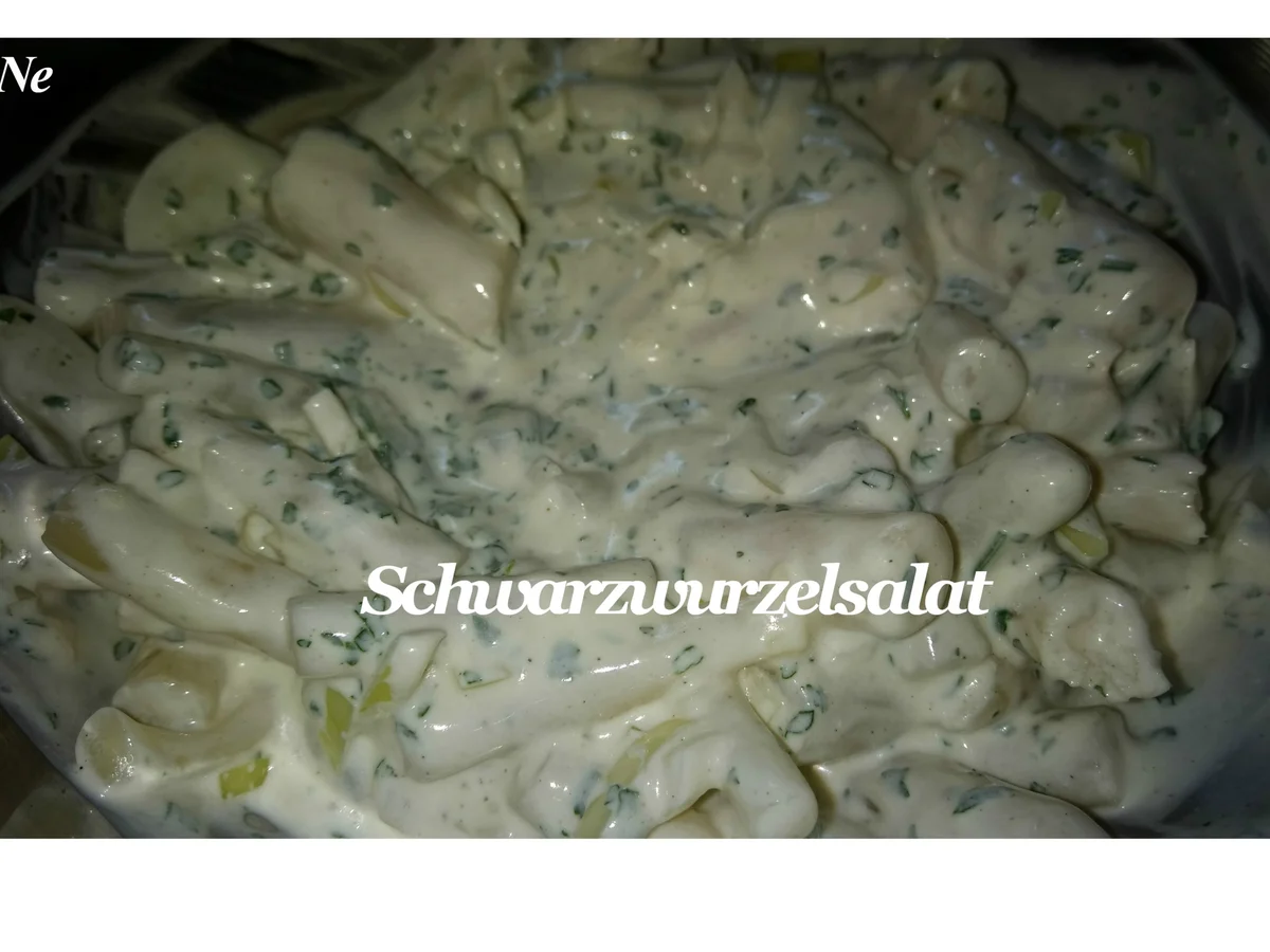 BiNe` S SCHWARZWURZELSALAT - Rezept - Bild Nr. 2948
