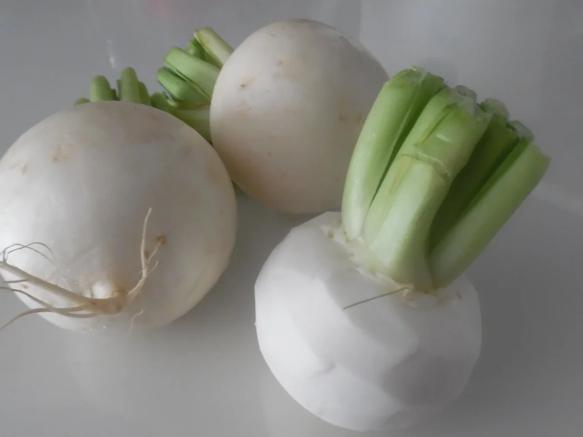 Teltower Rübchen gefüllt und überbacken mit Meerrettich-Rahm-Soße - Rezept - Bild Nr. 2957