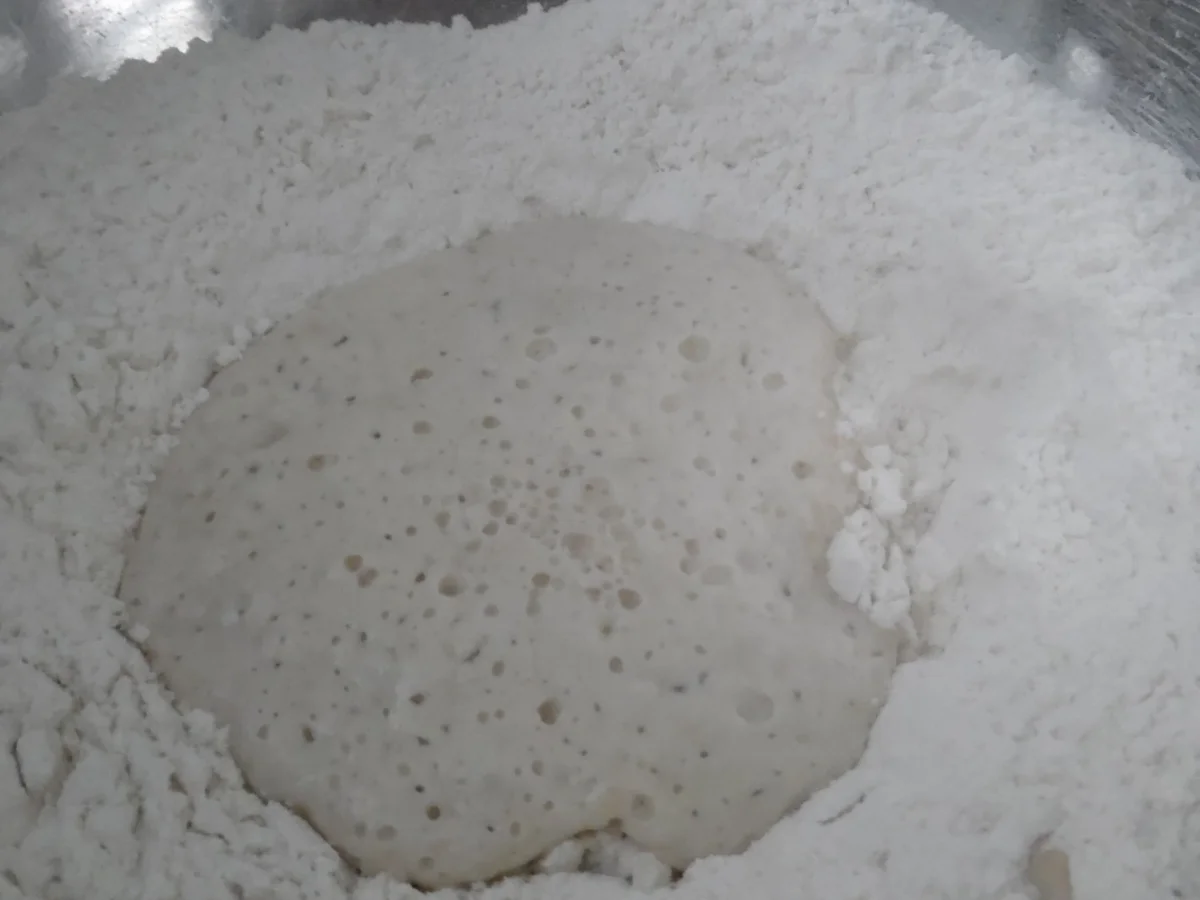 Focaccia mit Tomaten, Schafskäse und Oliven - Rezept - Bild Nr. 2957