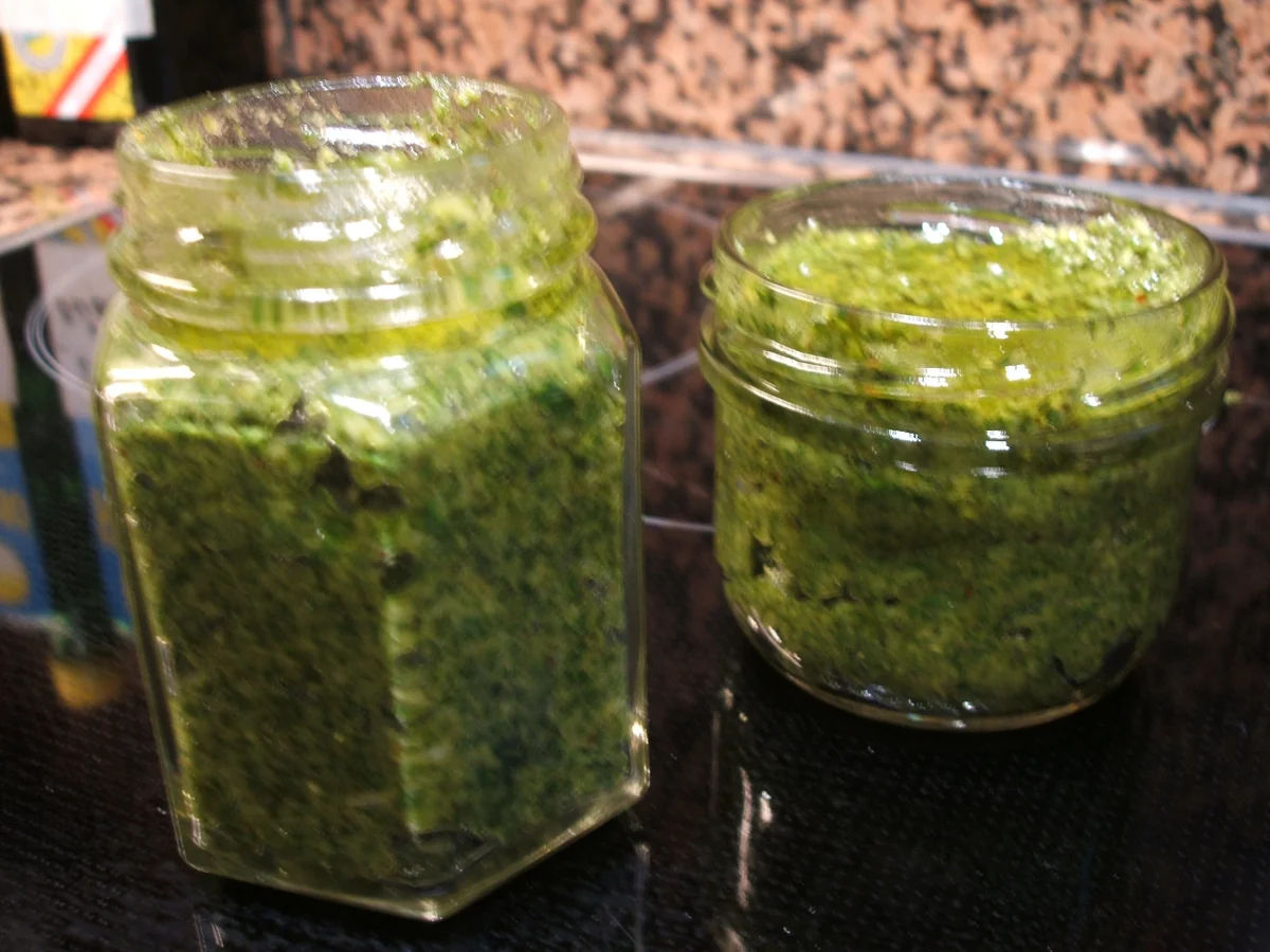 Gewürzmischungen: Giersch-Pesto - Rezept - Bild Nr. 2948