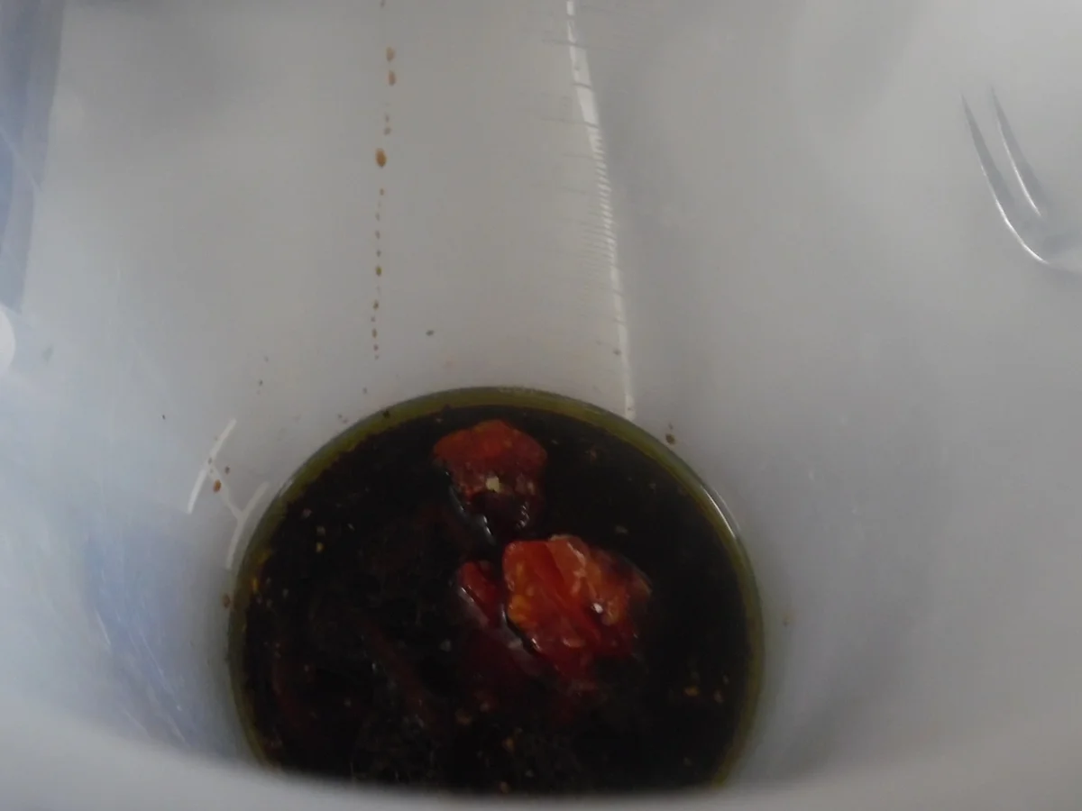 Rezept: Italienischer Brotsalat Bild Nr. 2953 Italienischer Brotsalat - Rezept - Bild Nr. 2953