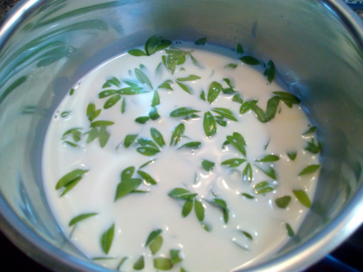 Waldmeister - Panna Cotta ... - Rezept - Bild Nr. 2985