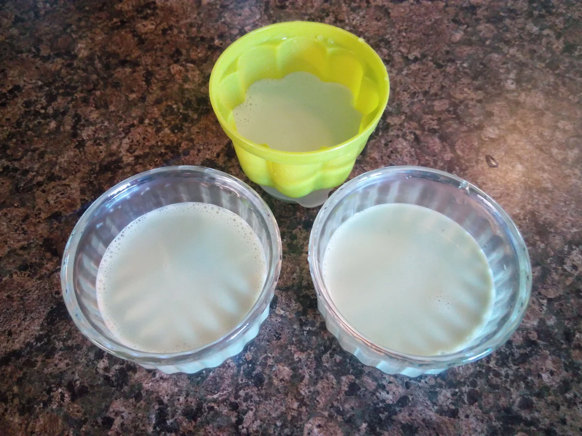 Rezept: Waldmeister - Panna Cotta ... Bild Nr. 2988 Waldmeister - Panna Cotta ... - Rezept - Bild Nr. 2988