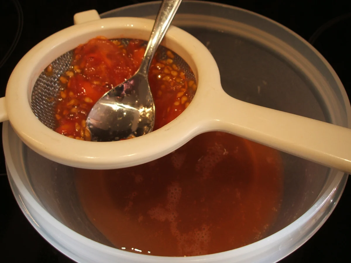 Vorspeisen: Tomatenmousse mit Kräuterlende und semitrockenen Tomaten - Rezept - Bild Nr. 2953