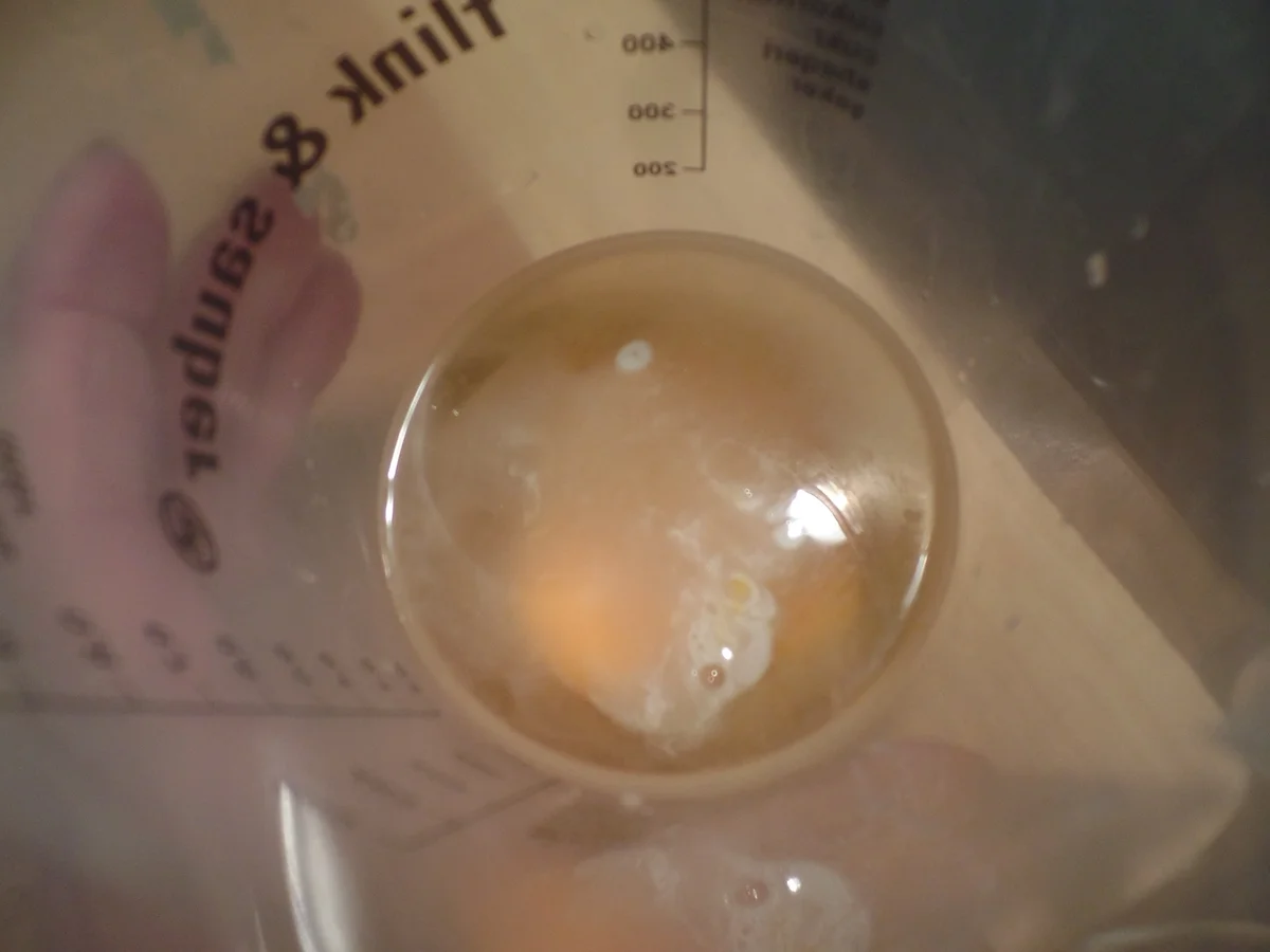 Rezept: Spargel in Bierteig mit Korianderquark Bild Nr. 2970 Spargel in Bierteig mit Korianderquark - Rezept - Bild Nr. 2970