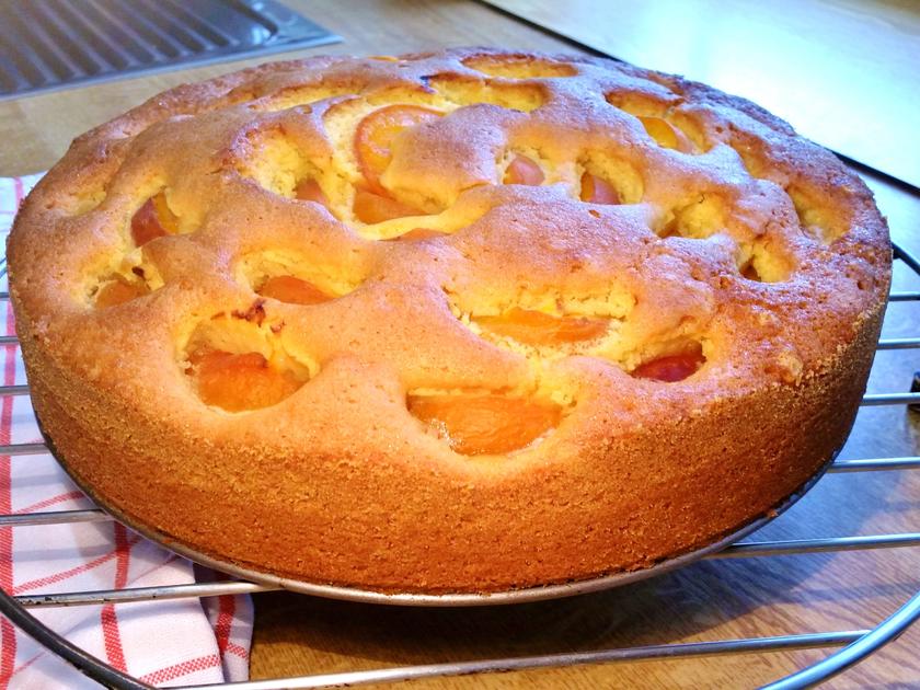 Aprikosen Eierlikör Kuchen - einfach - von mimi