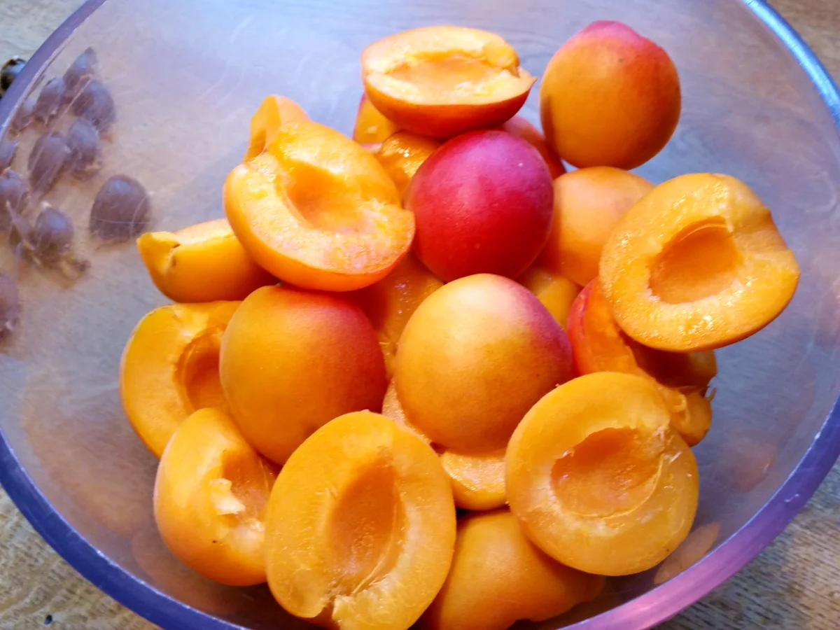 Aprikosen-Eierlikör-Kuchen - Rezept - Bild Nr. 2966