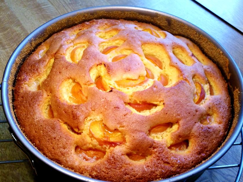 Aprikosen-Eierlikör-Kuchen - Rezept mit Bild - kochbar.de