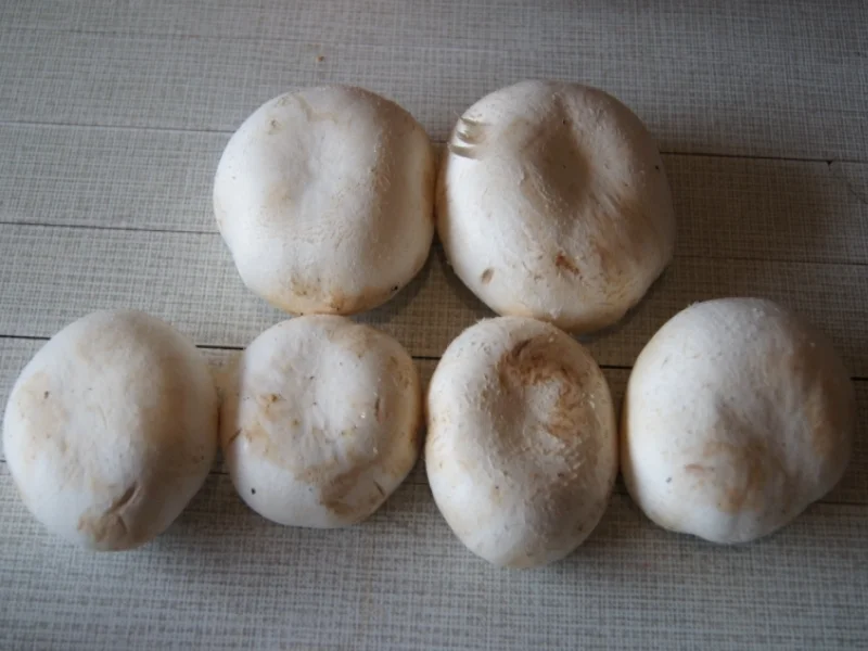 Gefüllte Riesenchampignons - Rezept - Bild Nr. 2991