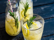 Switchel - Grundrezept - Rezept - Bild Nr. 2988