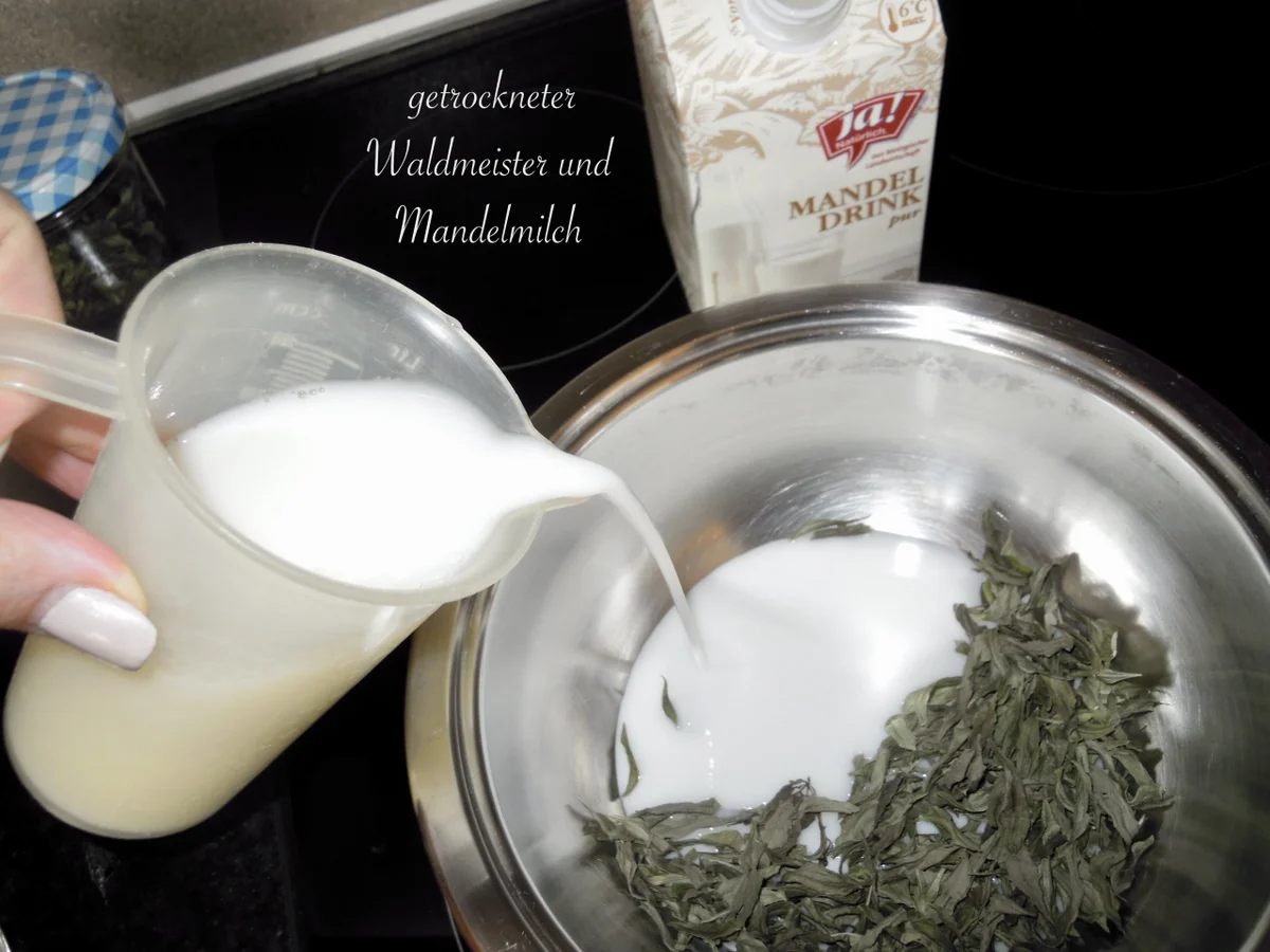 Waldmeister Eis - Rezept - Bild Nr. 2989