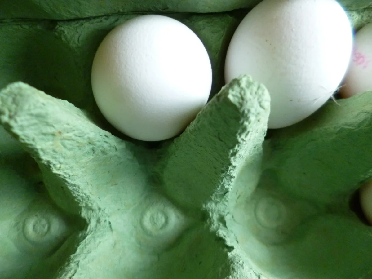 Dinkel-Vollkornnudeln handgemacht - Rezept - Bild Nr. 2990