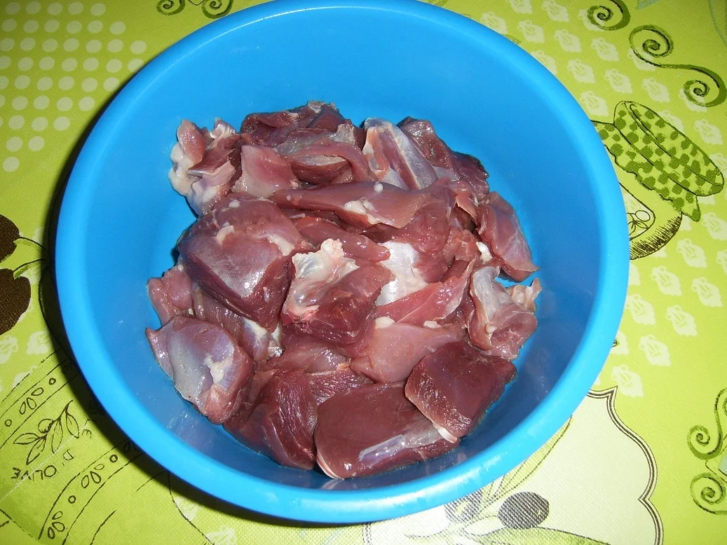 Gänsegulasch - Rezept - Bild Nr. 3002