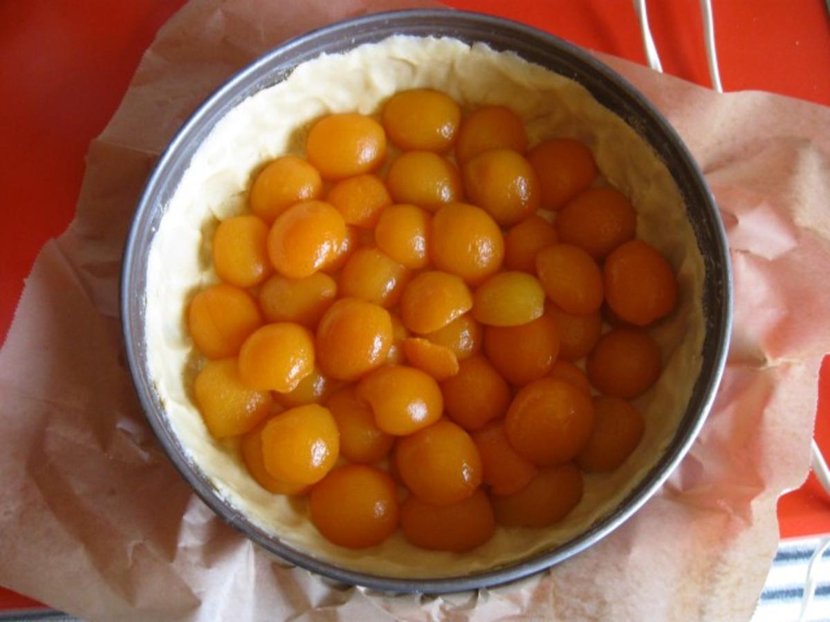 Aprikosenkuchen mit Schmand - Rezept mit Bild - kochbar.de