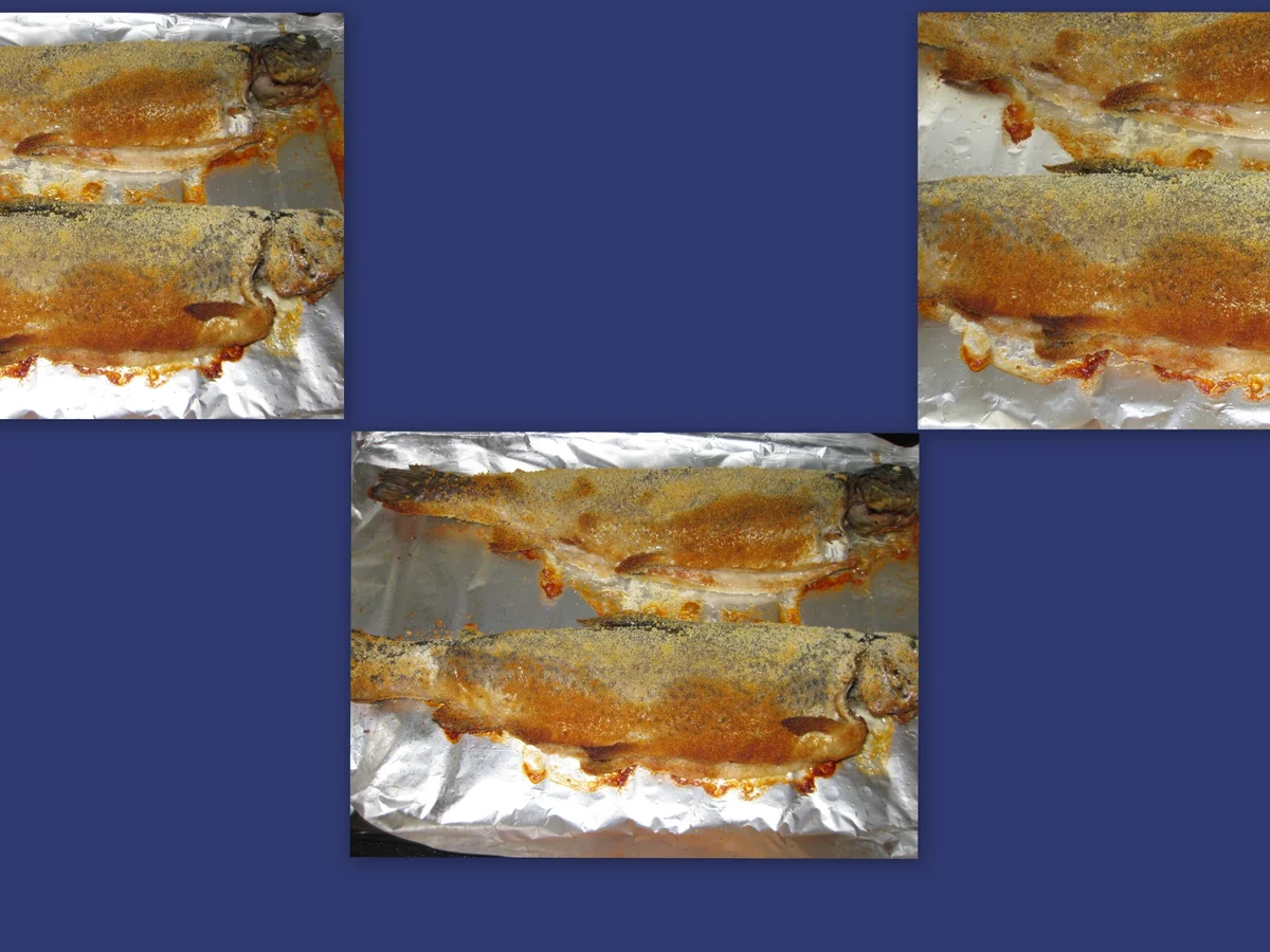 Forelle vom Rost - Rezept - Bild Nr. 3247