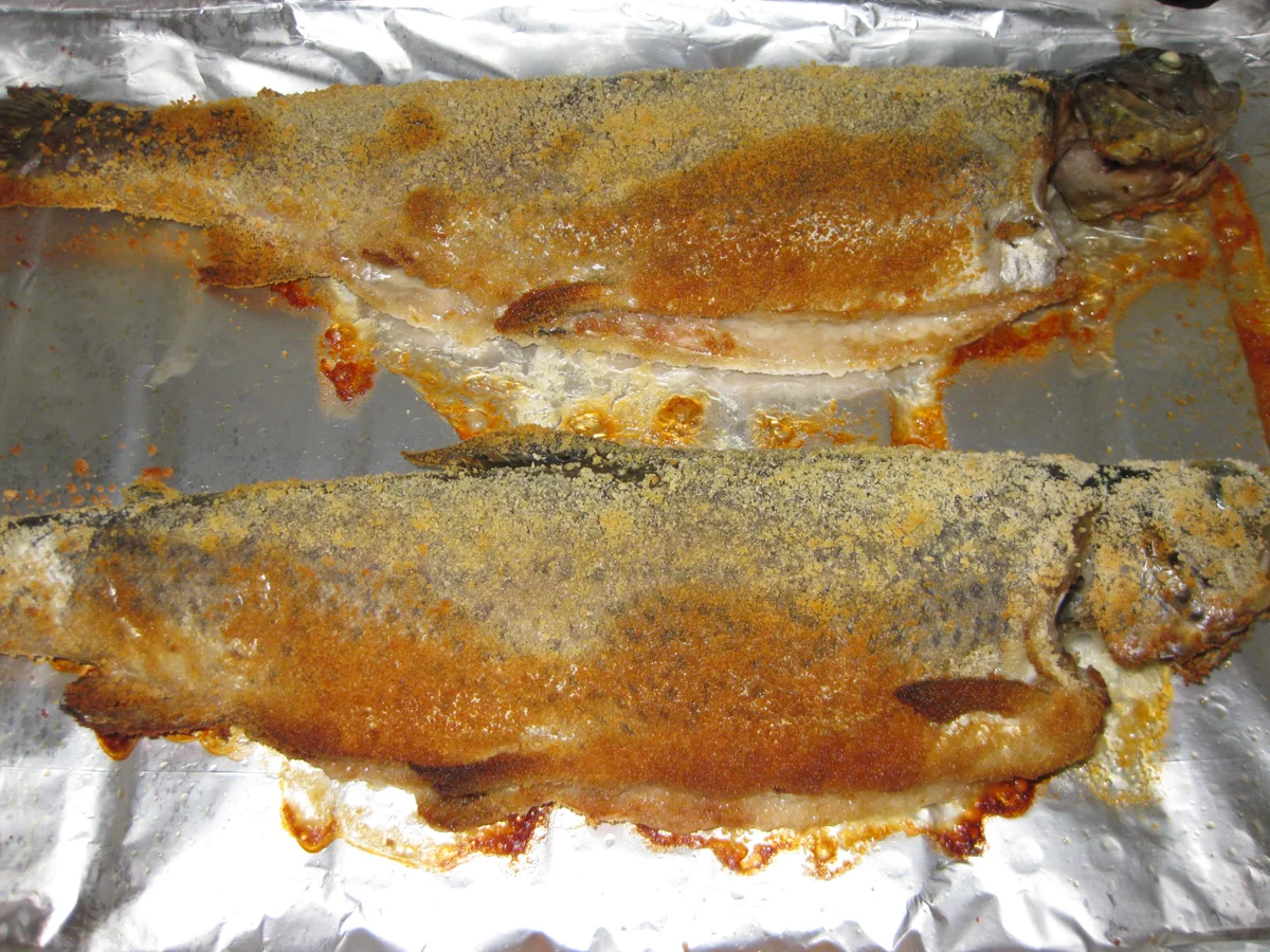 Forelle vom Rost - Rezept - Bild Nr. 3248