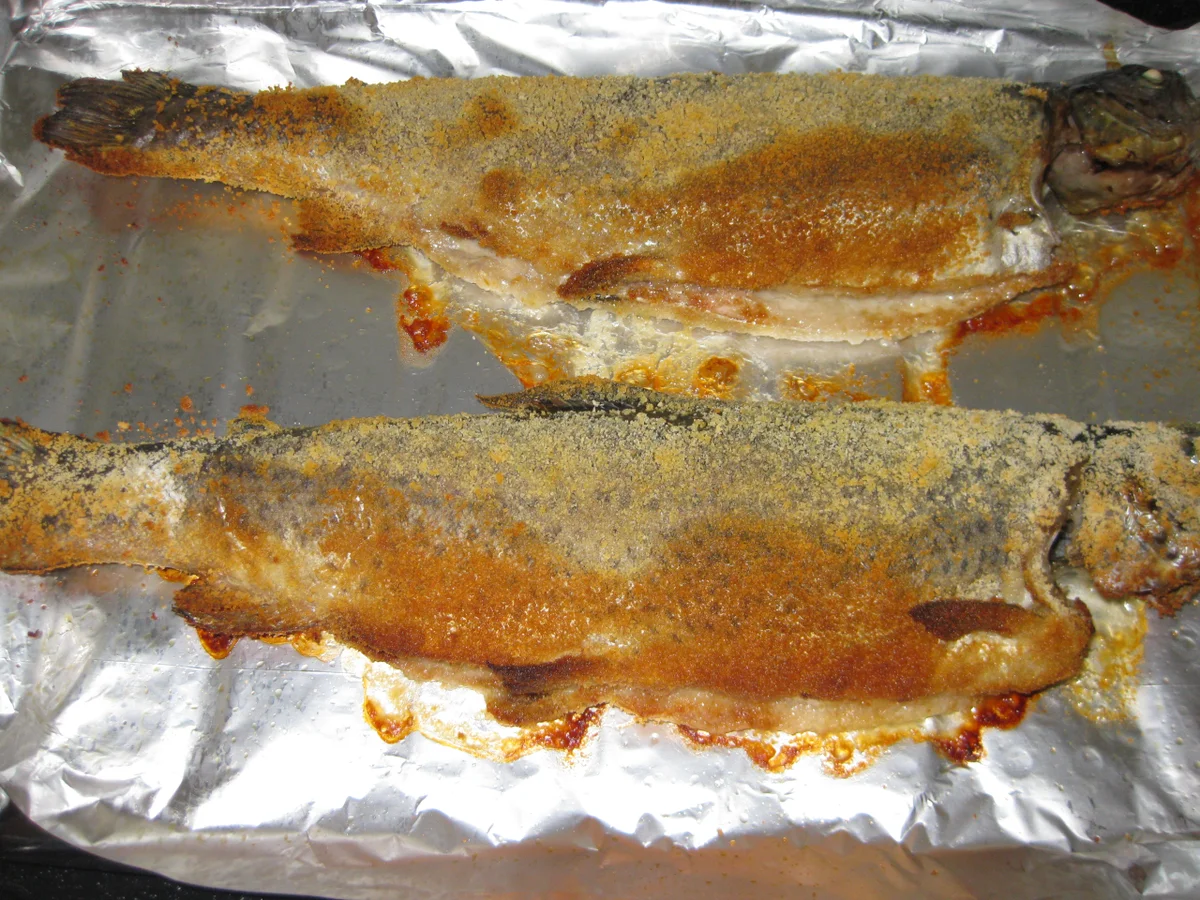 Forelle vom Rost - Rezept - Bild Nr. 3250