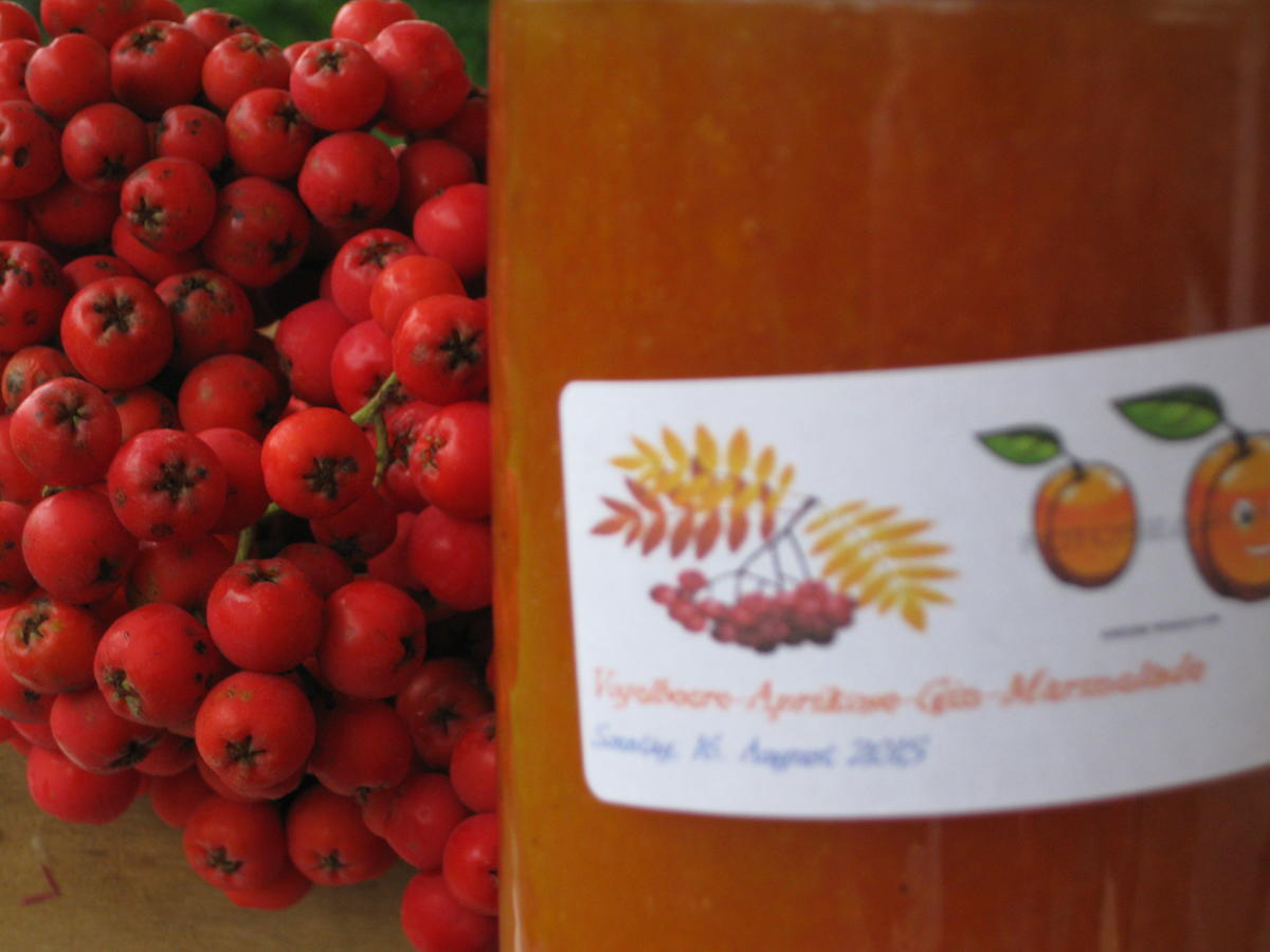 Vogelbeere Aprikosen Gin Marmelade - einfach - von eagle-Peter