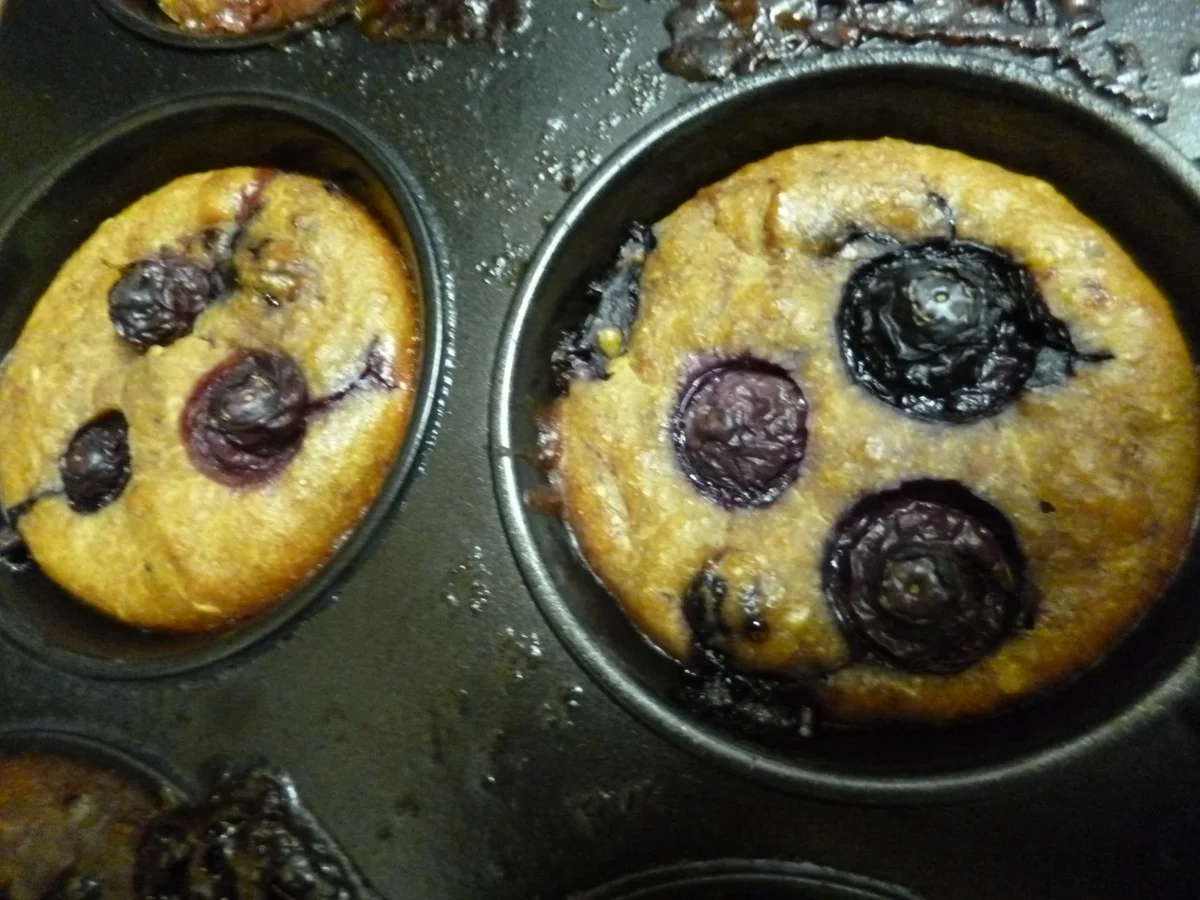 Blaubeer-Muffins - Rezept - Bild Nr. 2